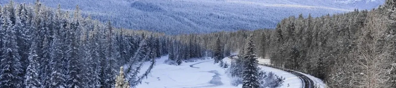 CampusFM_Kanadische Wildnis