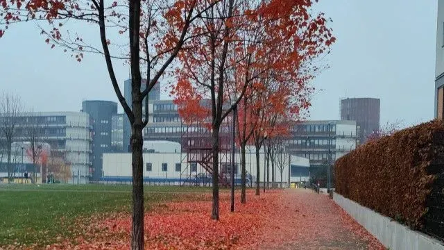 CampusFM_Herbst auf dem Campus Essen