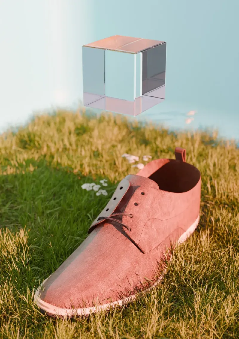 ManicVision_A shoe with a cube of water