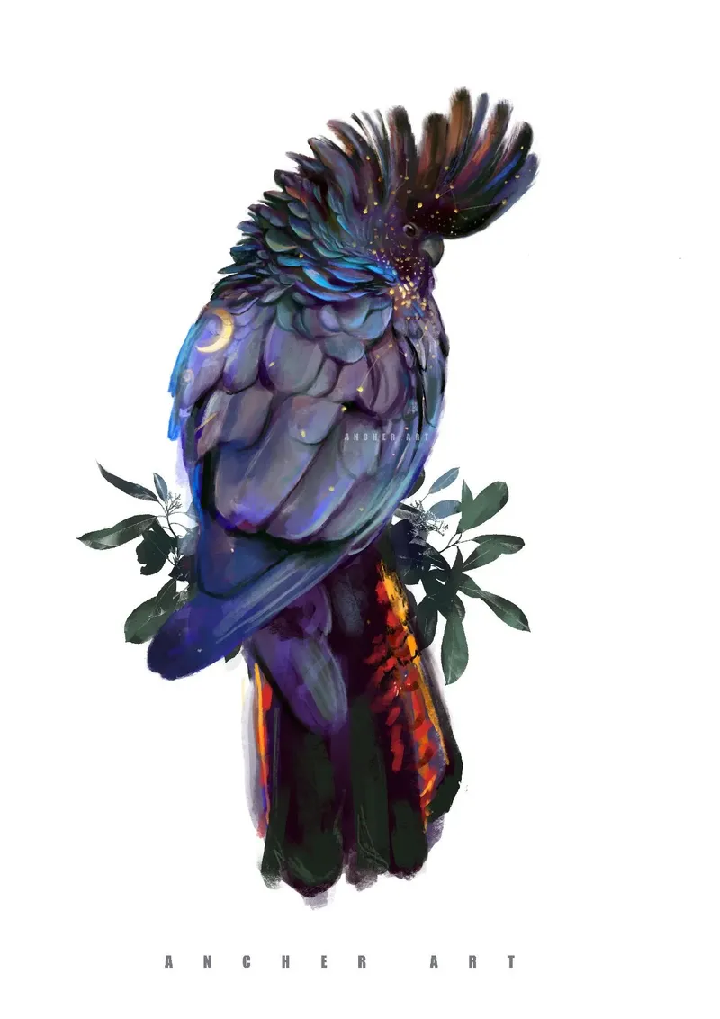 ManicVision_Cockatoo