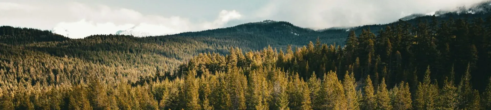 CampusFM_Reisen Kategorie Platzhalter